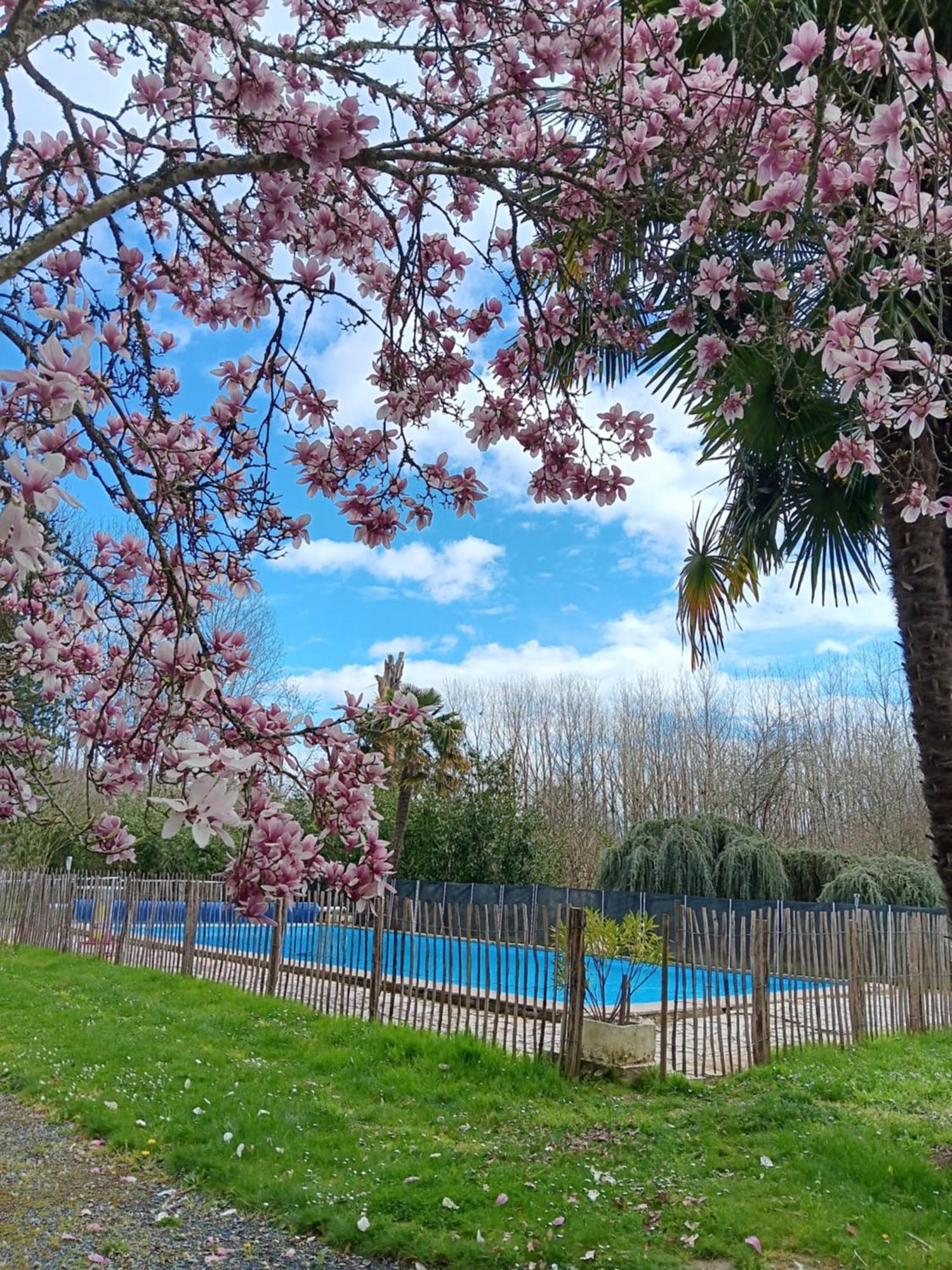 Gite Au Moulin Du Comte Bourrouillan 外观 照片