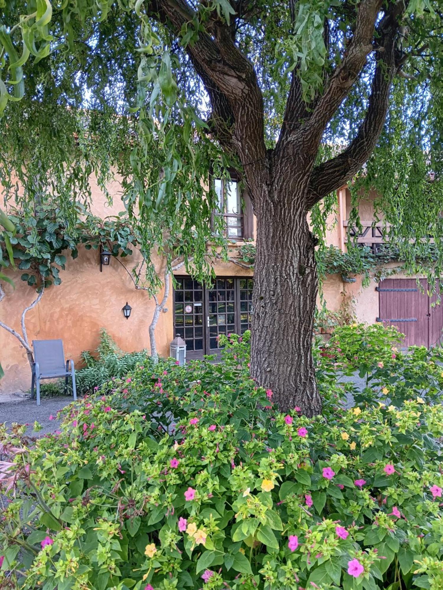 Gite Au Moulin Du Comte Bourrouillan 外观 照片