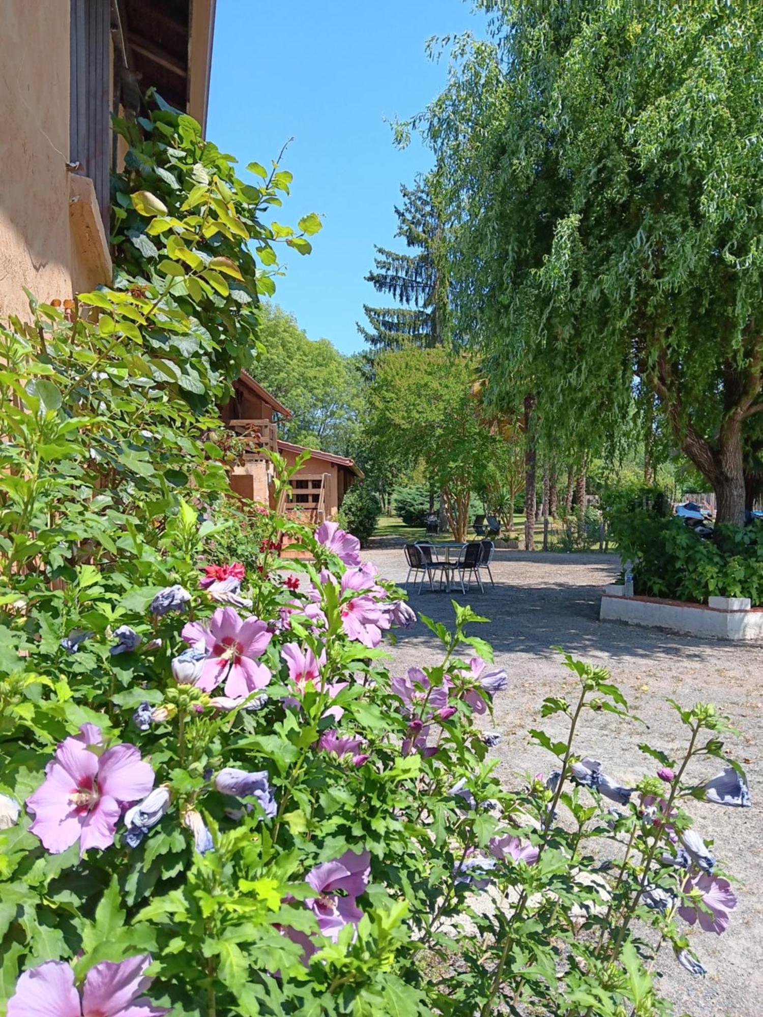 Gite Au Moulin Du Comte Bourrouillan 外观 照片